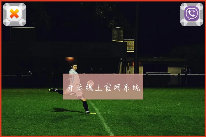 开云线上官网系统