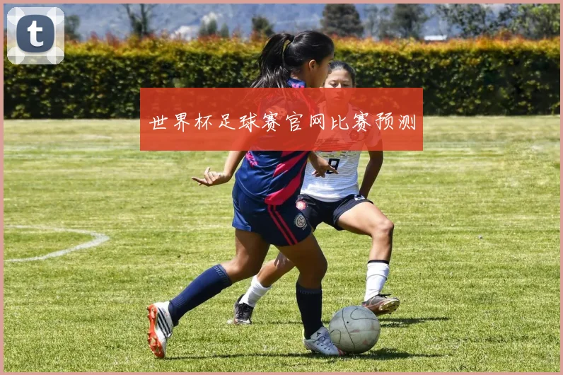世界杯足球赛官网比赛预测