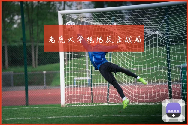 老虎大学绝地反击战局