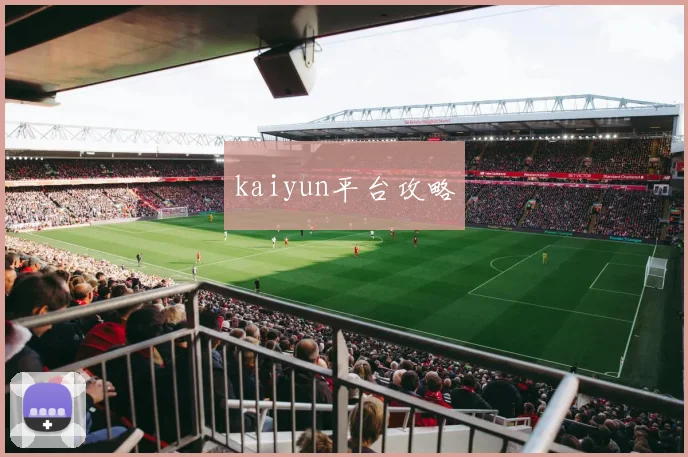 kaiyun平台攻略