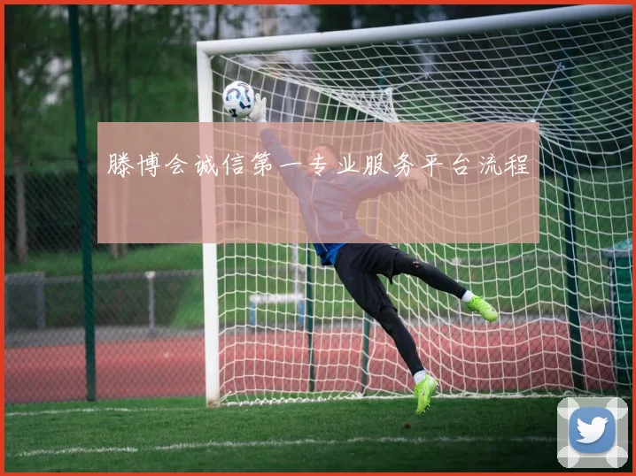 滕博会诚信第一专业服务平台流程