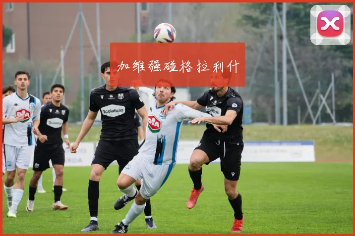 加维强碰格拉利什