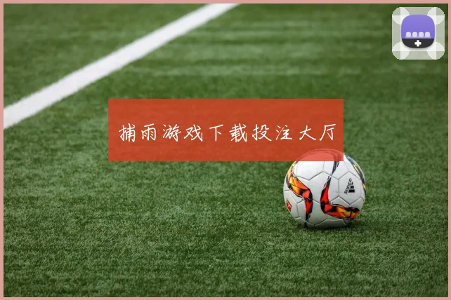 捕雨游戏下载投注大厅