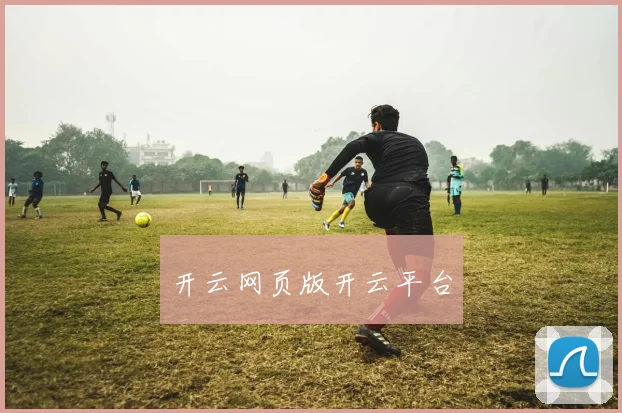 开云网页版开云平台