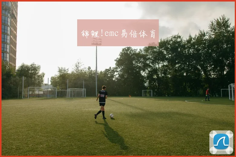 锦鲤!emc易倍体育
