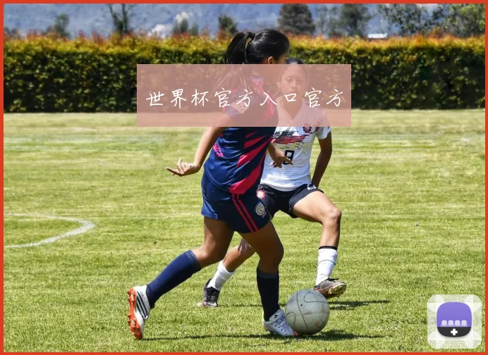 世界杯官方入口官方