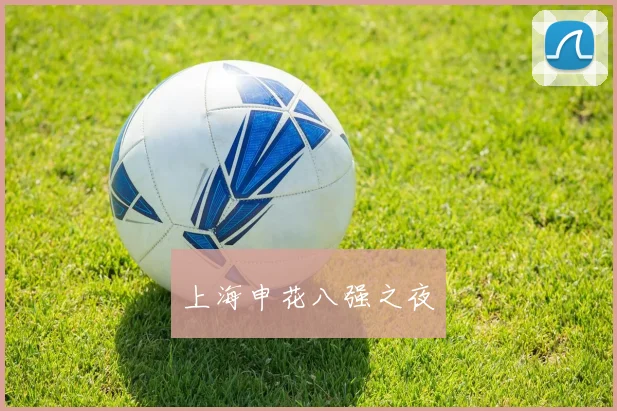 上海申花八强之夜