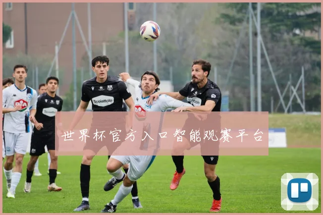 世界杯官方入口智能观赛平台
