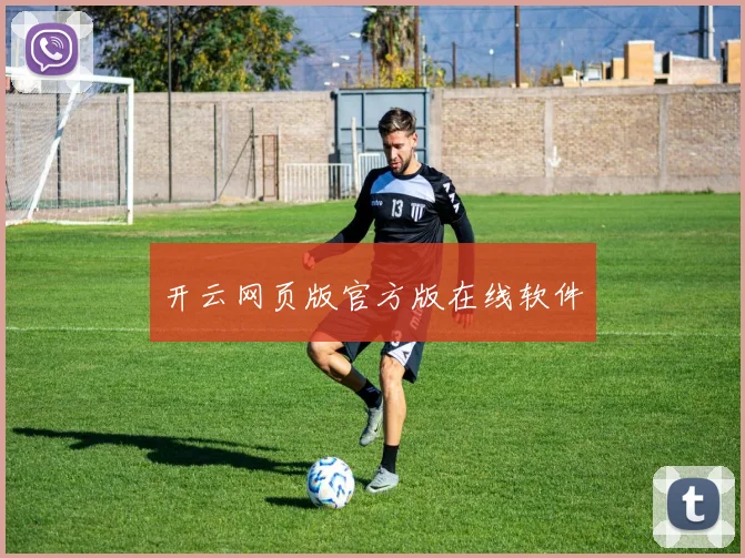 开云网页版官方版在线软件