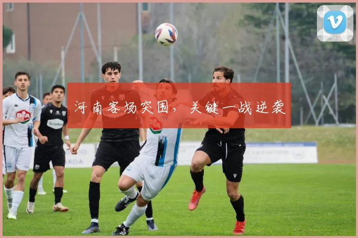 河南客场突围，关键一战逆袭