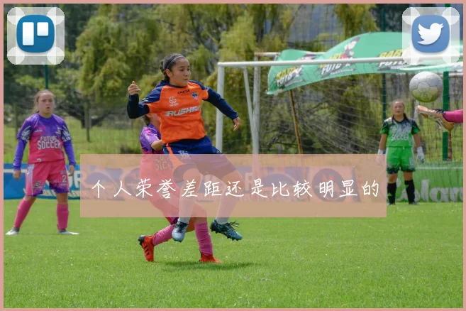 个人荣誉差距还是比较明显的