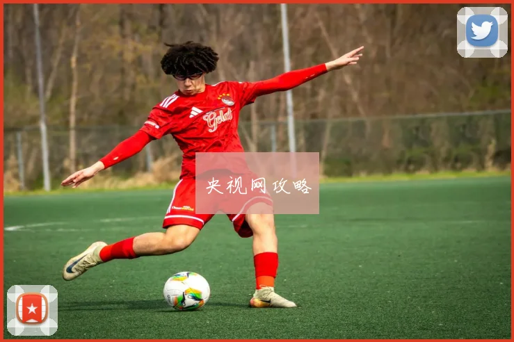 央视网攻略