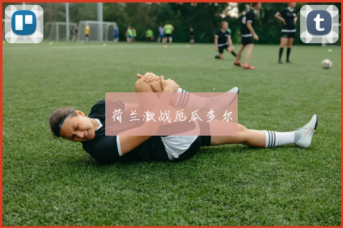 荷兰激战厄瓜多尔