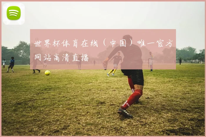 世界杯体育在线（中国）唯一官方网站高清直播