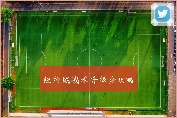 纽约城战术升级全攻略