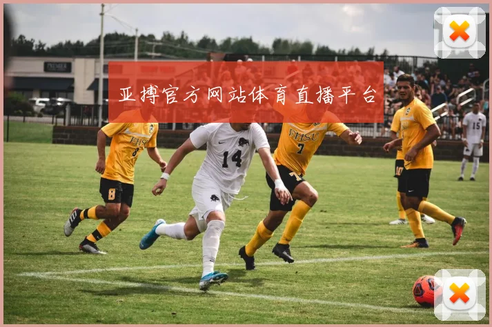 亚搏官方网站体育直播平台