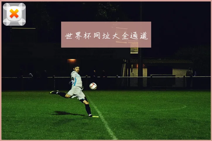 世界杯网址大全通道
