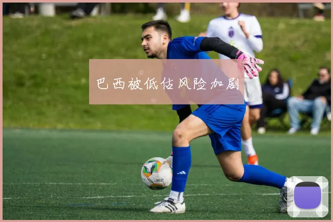 巴西被低估风险加剧