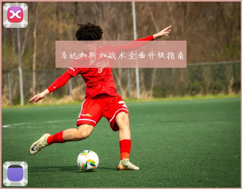 马达加斯加战术全面升级指南