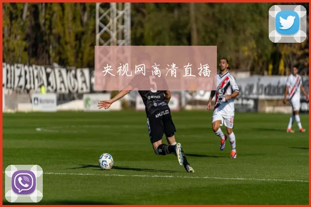 央视网高清直播
