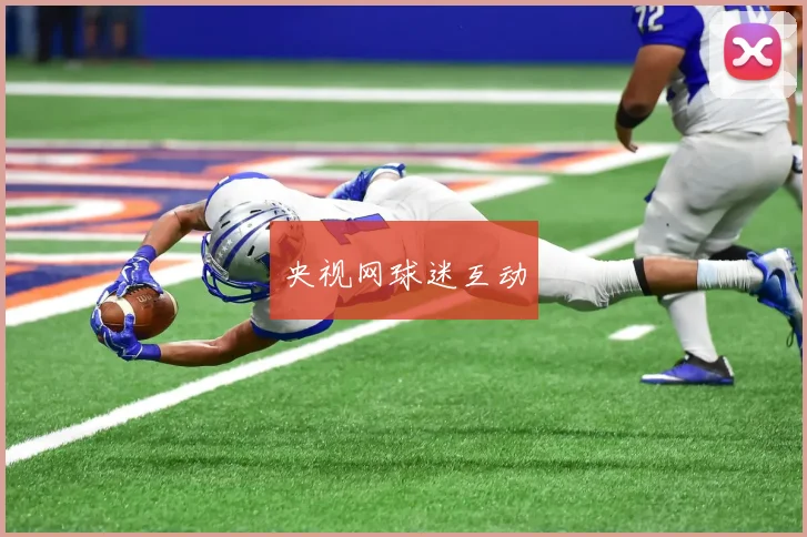 央视网球迷互动