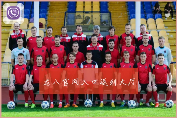 龙八官网入口返利大厅