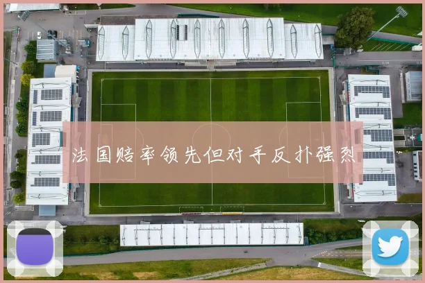 法国赔率领先但对手反扑强烈