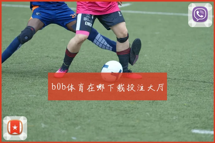 b0b体育在哪下载投注大厅