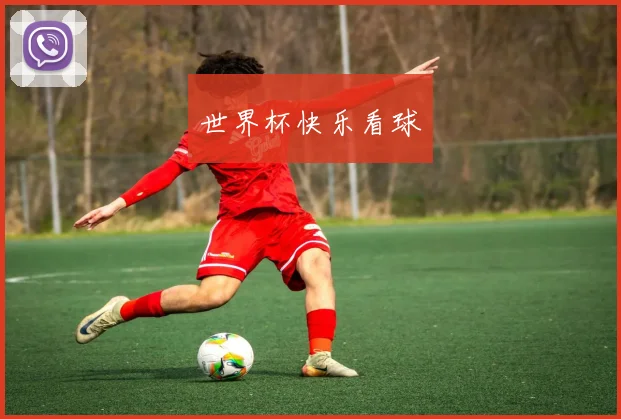 世界杯快乐看球
