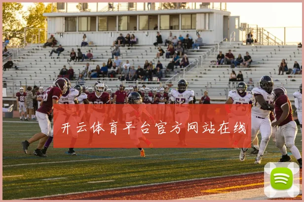 开云体育平台官方网站在线