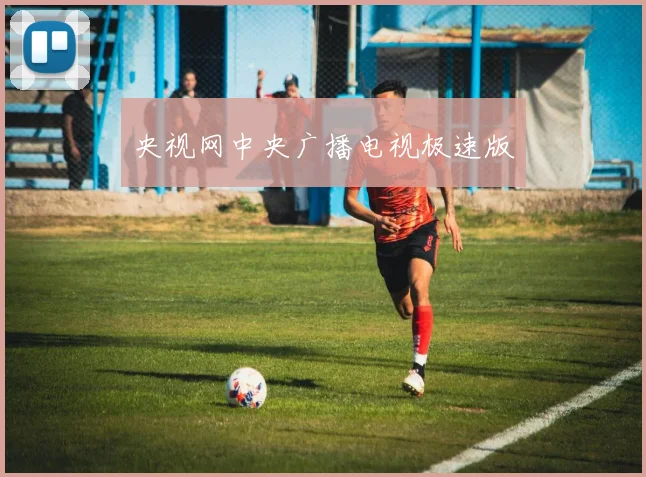 央视网中央广播电视极速版