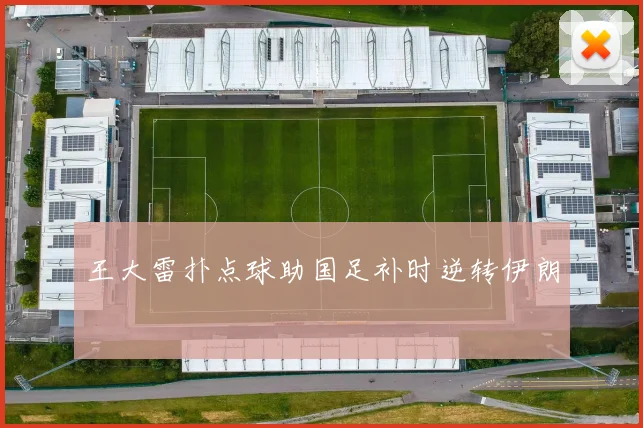 王大雷扑点球助国足补时逆转伊朗