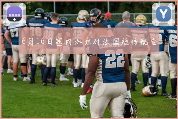 6月16日塞内加尔对法国短传配合