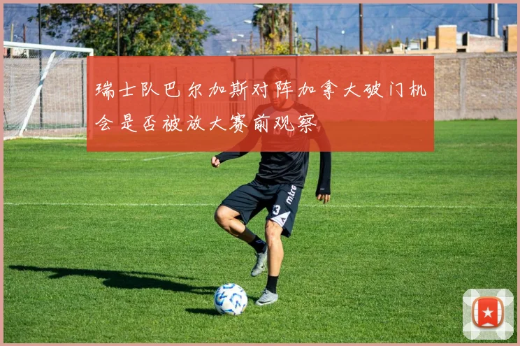 瑞士队巴尔加斯对阵加拿大破门机会是否被放大赛前观察