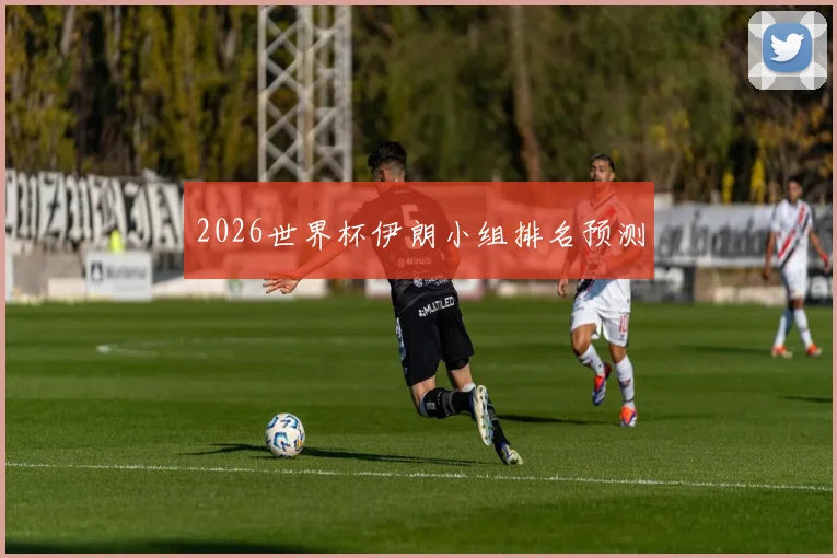 2026世界杯伊朗小组排名预测