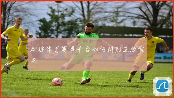 欢迎体育赛事平台如何辨别正版官网