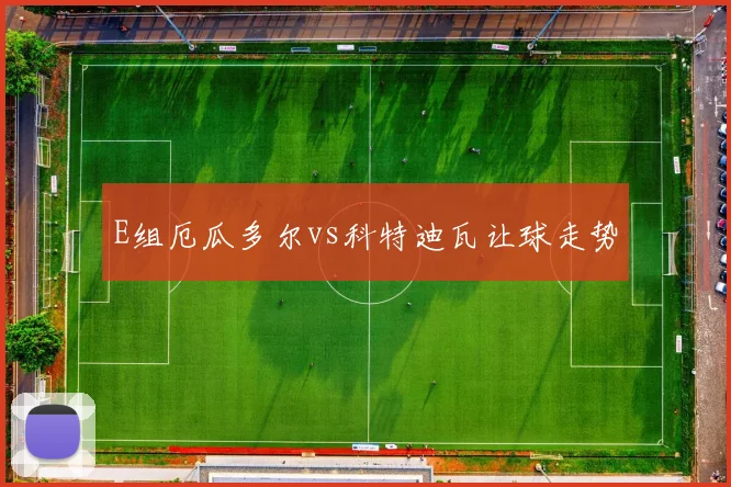 E组厄瓜多尔vs科特迪瓦让球走势